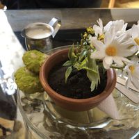   at Atavico Cafe in Quito