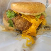  at Refocused in Baltimore