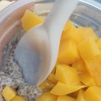  at Veganski Kiosk in Belgrade