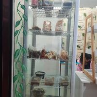  at Veganski Kiosk in Belgrade