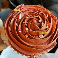 Jumbo cupcake  at Wisdom's Vegan Bakery & Cafe in Spring