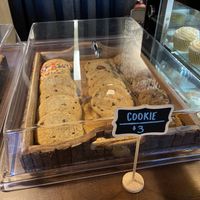   at Wisdom's Vegan Bakery & Cafe in Spring