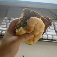 Spicy Seitan Chikn Sandwich   at Wisdom's Vegan Bakery & Cafe in Spring