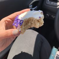 Sugar cookie at Wisdom's Vegan Bakery & Cafe in Spring