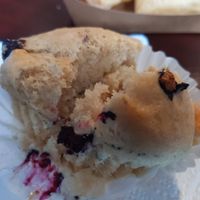 Moist, flakey blueberry muffins at Wisdom's Vegan Bakery & Cafe in Spring