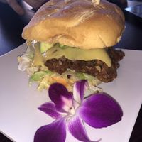 Spicy chicken sandwich with cheese and avocado added! at Wisdom's Vegan Bakery & Cafe in Spring