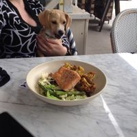 Puppy hungry  at Flower Child in The Woodlands