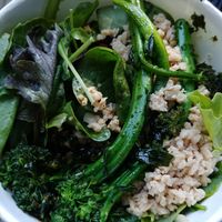 Vegan Ramen Veggies, noodles and tofu etc without soup: We really liked the noodles at HiroNori Craft Ramen in Santa Clara