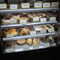 Cake selection!! 🧡 Almost all vegan (non-vegan cheesecake on the left) at Step Out Cafe in Jaipur