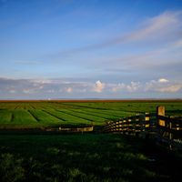 Nearby at Vegotel in Blije