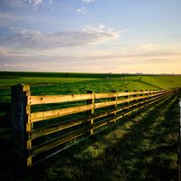 Nearby at Vegotel in Blije