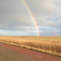 Surrounding at Vegotel in Blije