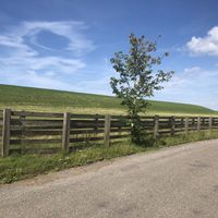 In front of the hotel at Vegotel in Blije