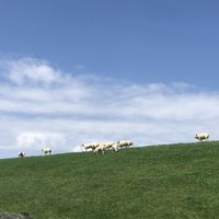 The views from the terras at Vegotel in Blije