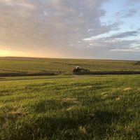 Just next to the hotel at Vegotel in Blije