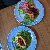 Avocado smorrebrod and potato smorrebrod were our absolute favorites, the beetroot smorrebrod was good super good too though at Din Nye Ven in Copenhagen