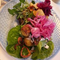 Mushroom and potato smorrebrod for 137 DKK at Din Nye Ven in Copenhagen