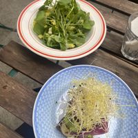potato sandwich & salad  at Din Nye Ven in Copenhagen