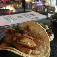  Vegan chicken street taco at Nacho Daddy in Duluth