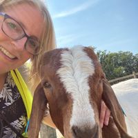  at Friend Farm Animal Sanctuary in Tonbridge