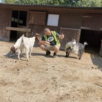  at Friend Farm Animal Sanctuary in Tonbridge