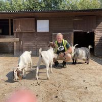  at Friend Farm Animal Sanctuary in Tonbridge
