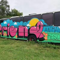 F.R.I.E.N.D. at Friend Farm Animal Sanctuary in Tonbridge