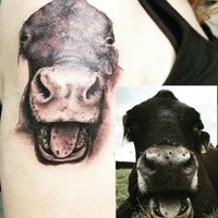 F.R.I.E.N.D. resident Rosie means so much to me that I honored her with a tattoo! at Friend Farm Animal Sanctuary in Tonbridge