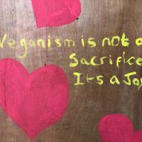 Well said. at Friend Farm Animal Sanctuary in Tonbridge