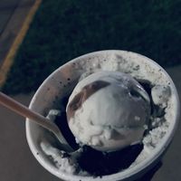 Oreo and vegan vanilla blizzard! at The Chocolate Moose in Bloomington