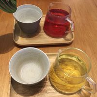 Hibiscus and camomile tea at filtro in The Hague
