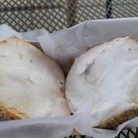  at Bloomington Bagel Company in Bloomington