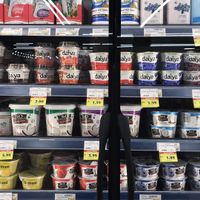 Vegan yogurts  at Better Health Store in Ann Arbor