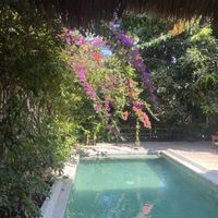 View   at Flowers & Fire in 