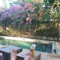 The pool area in front at Flowers & Fire in 