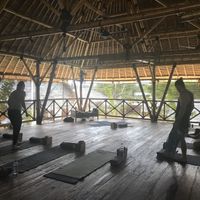 Yoga at Flowers & Fire in 