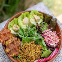 Fawaffles+ dolma + hummus at Surfer's Wife in Honolulu