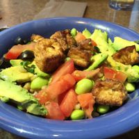 original bowl with tofu at Cafe Yumm in Corvallis