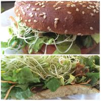 Nutty burger and nutty tacos (and more) are da bomb! at Sunflower Drive-In in Fair Oaks