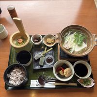 vegan tofu meal  at Saga Tofu Ine (Main Branch) 嵯峨とうふ 稲 本店 in Kyoto