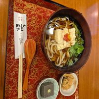 Non-vegan broth Noodels 1.200¥ at Saga Tofu Ine (Main Branch) 嵯峨とうふ 稲 本店 in Kyoto