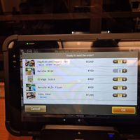 Ordering example one vegan one non-vegan at Saga Tofu Ine (Main Branch) 嵯峨とうふ 稲 本店 in Kyoto