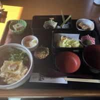 Vegetarian lunch let, not marked as vegan on menu. at Saga Tofu Ine (Main Branch) 嵯峨とうふ 稲 本店 in Kyoto