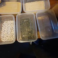 Produce at Unwrapped in Sheffield