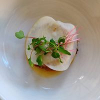 2. Gang at FREA in Berlin