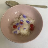 palette cleanser (lemon shaved ice, lingonberries)  at FREA in Berlin
