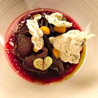 Beetroot at FREA in Berlin