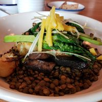 Lentil and mash potatoes- yum at FREA in Berlin