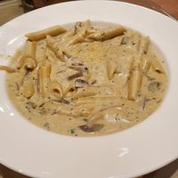 Funghi Stroganoff ✅ - very rich and creamy. Good to share. at Earth Cafe @ Waterfield in Mumbai