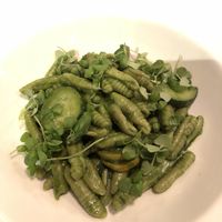 Pesto cavatelli - skip, no salt at Radis in Montreal